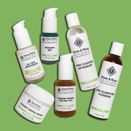 6 skincare products from the Full Size Essentials Kit for Acne and Breakout Control by rune and rose skincare on a green background